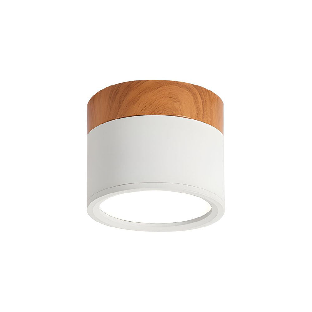 LED Plafondspots – Cylinder Kleine Plafondlamp