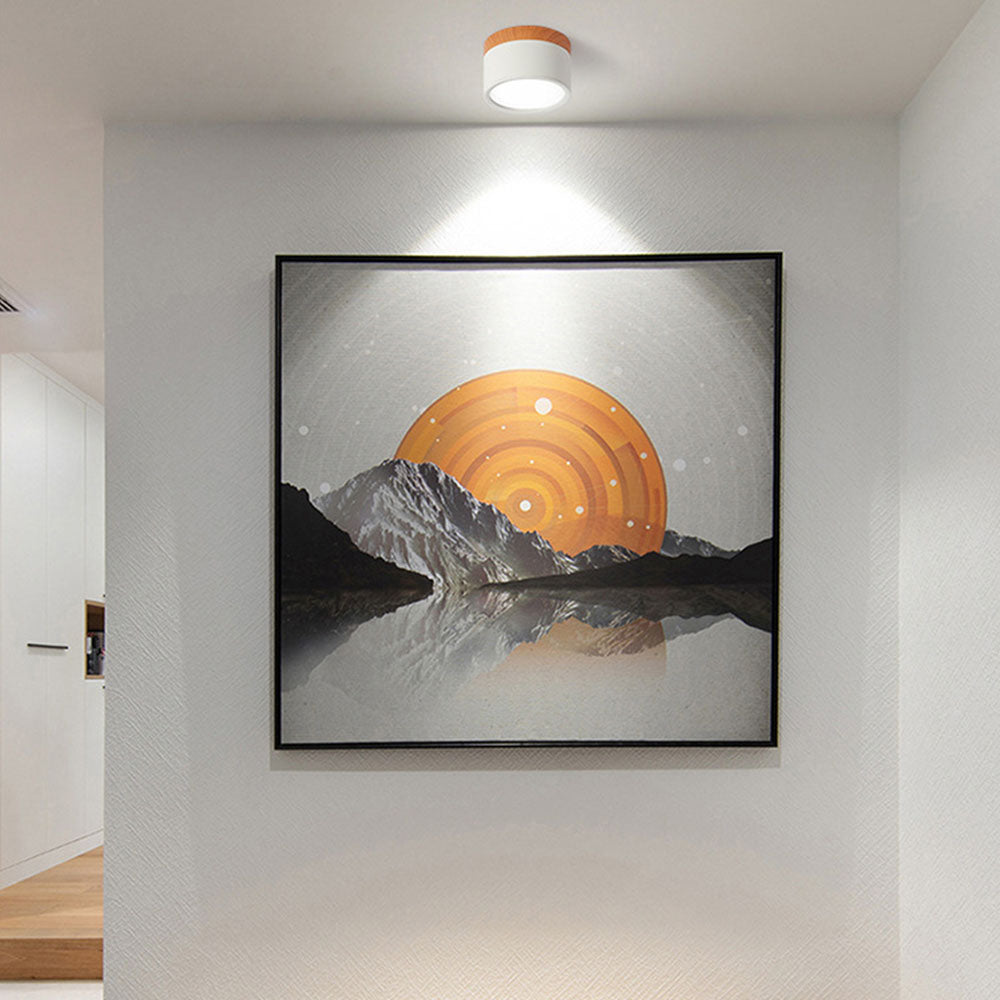 LED Plafondspots – Cylinder Kleine Plafondlamp