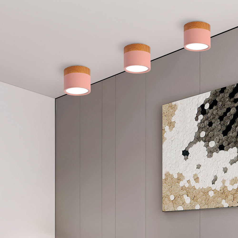 LED Plafondspots – Cylinder Kleine Plafondlamp