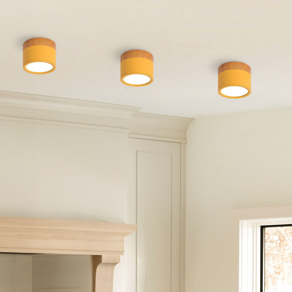LED Plafondspots – Cylinder Kleine Plafondlamp