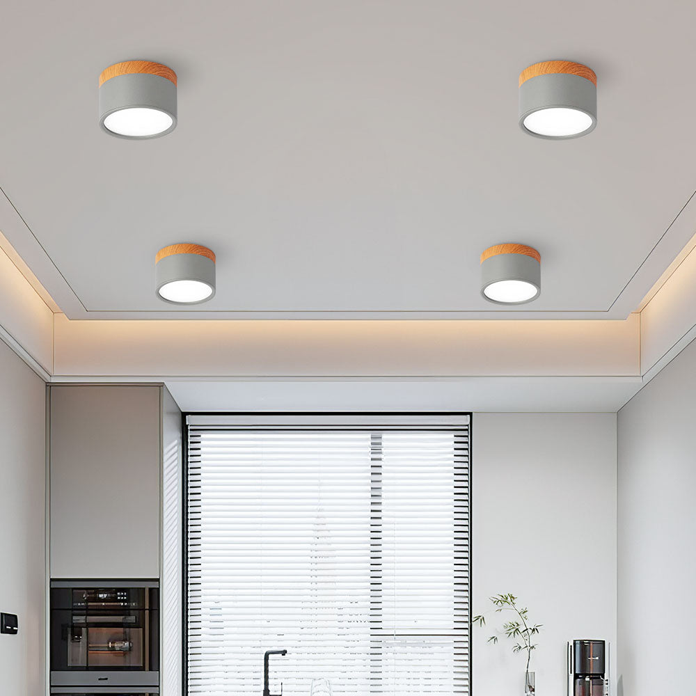 LED Plafondspots – Cylinder Kleine Plafondlamp