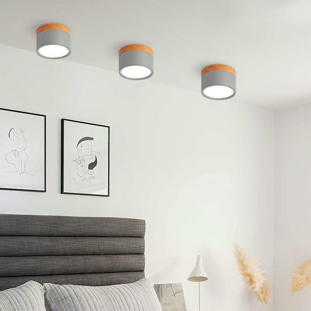 LED Plafondspots – Cylinder Kleine Plafondlamp
