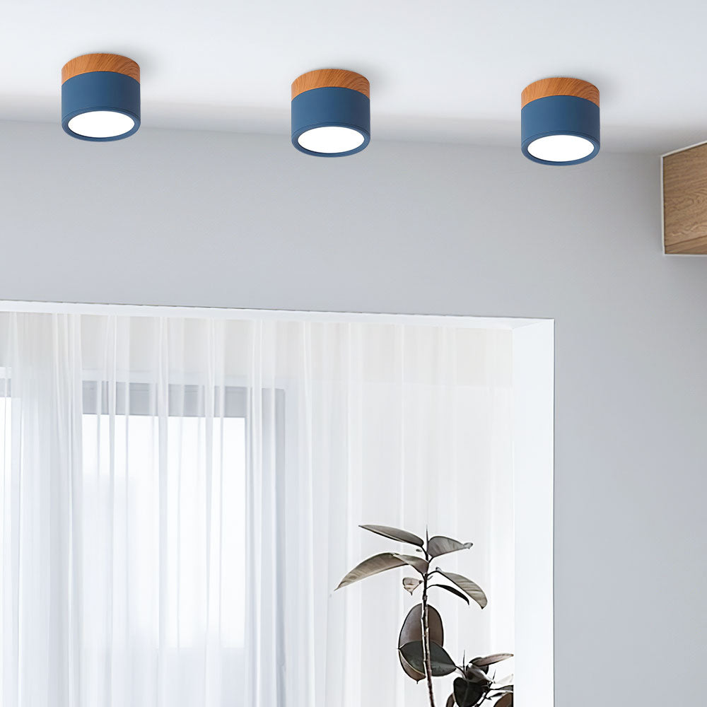 LED Plafondspots – Cylinder Kleine Plafondlamp