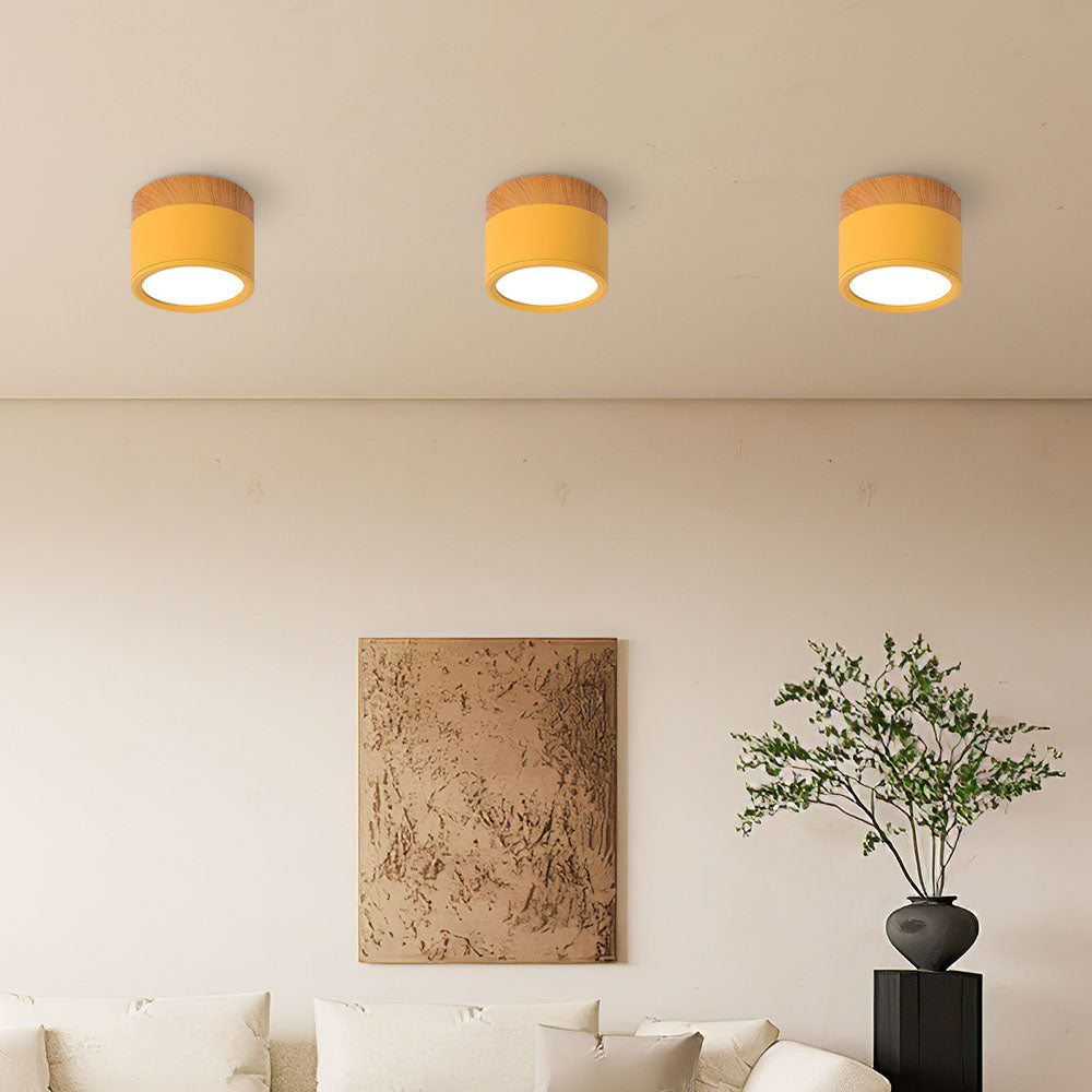 LED Plafondspots – Cylinder Kleine Plafondlamp