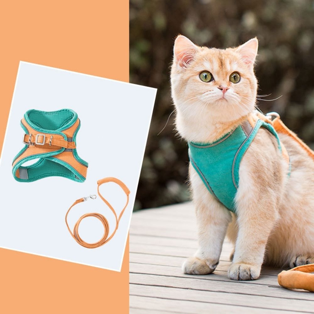 Kattenharnas met Lijn – Voor Kittens en Volwassen Katten