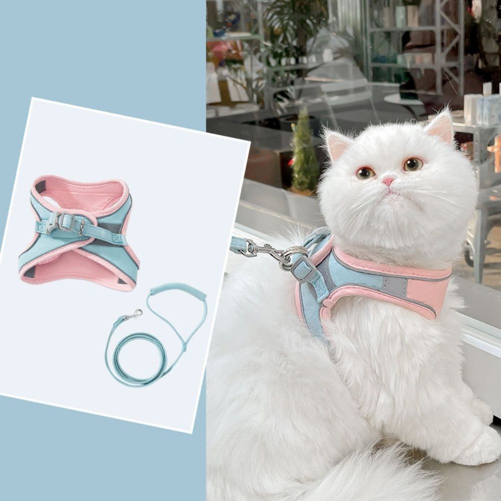 Kattenharnas met Lijn – Voor Kittens en Volwassen Katten