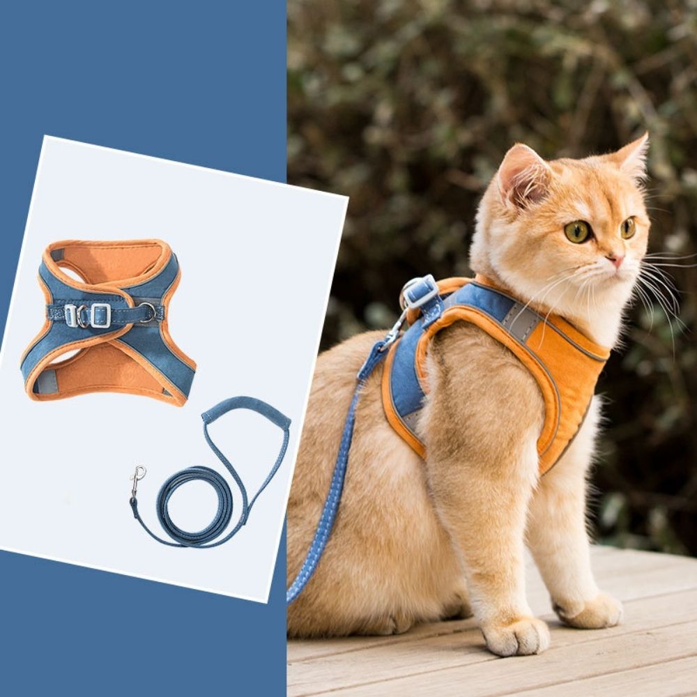 Kattenharnas met Lijn – Voor Kittens en Volwassen Katten