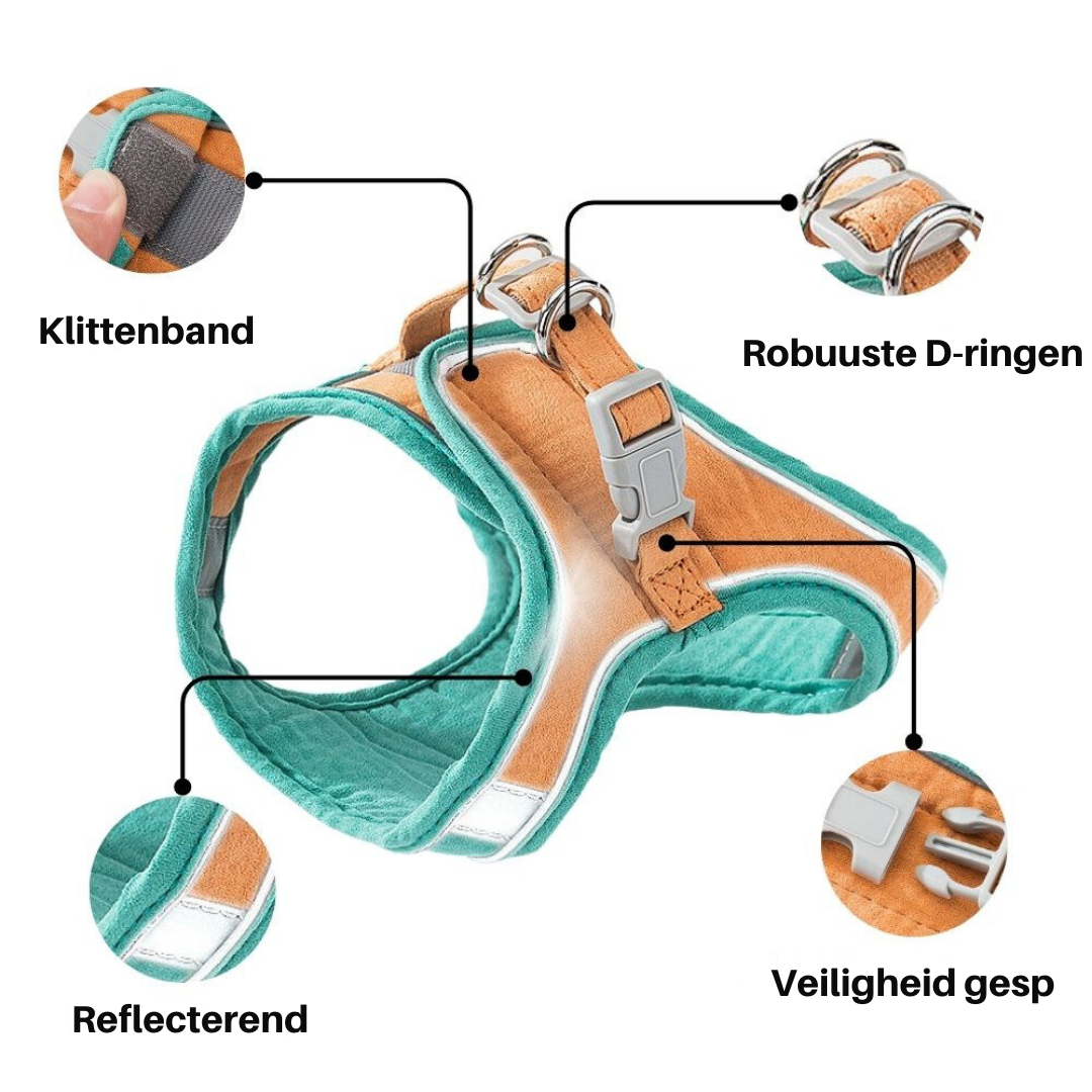 Kattenharnas met Lijn – Voor Kittens en Volwassen Katten
