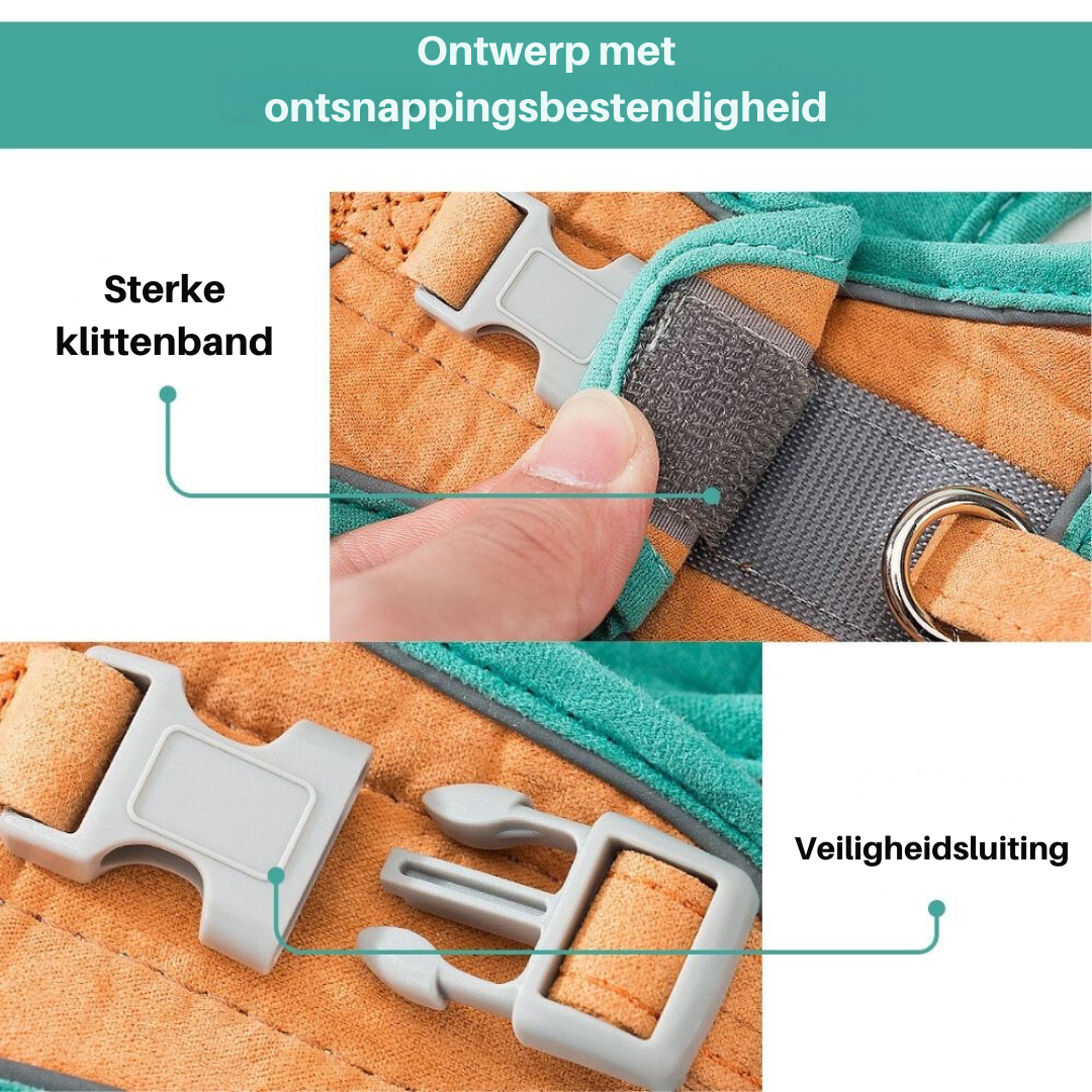 Kattenharnas met Lijn – Voor Kittens en Volwassen Katten