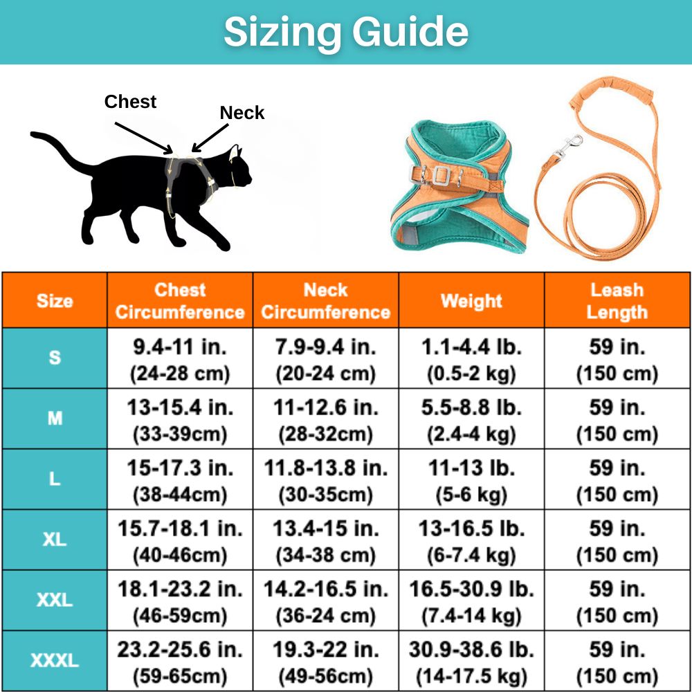 Kattenharnas met Lijn – Voor Kittens en Volwassen Katten