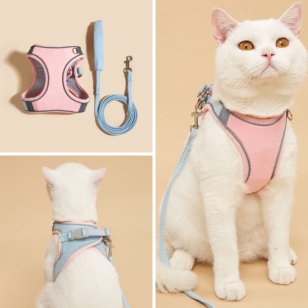 Kattenharnas met Lijn – Voor Kittens en Volwassen Katten