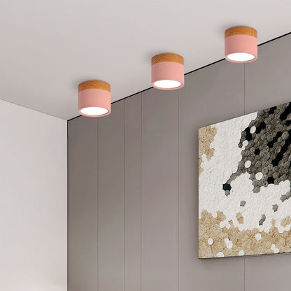 LED Plafondspots – Cylinder Kleine Plafondlamp