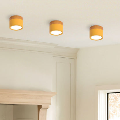 LED Plafondspots – Cylinder Kleine Plafondlamp