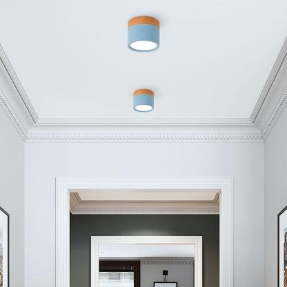LED Plafondspots – Cylinder Kleine Plafondlamp