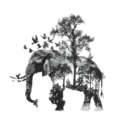 Olifant Muursticker – Natuurlijke Decoratie voor Woon- of Slaapkamer