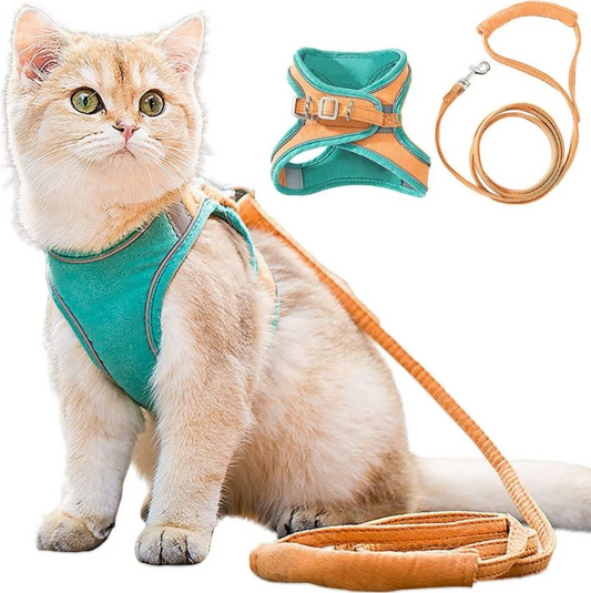 Kattenharnas met Lijn – Voor Kittens en Volwassen Katten