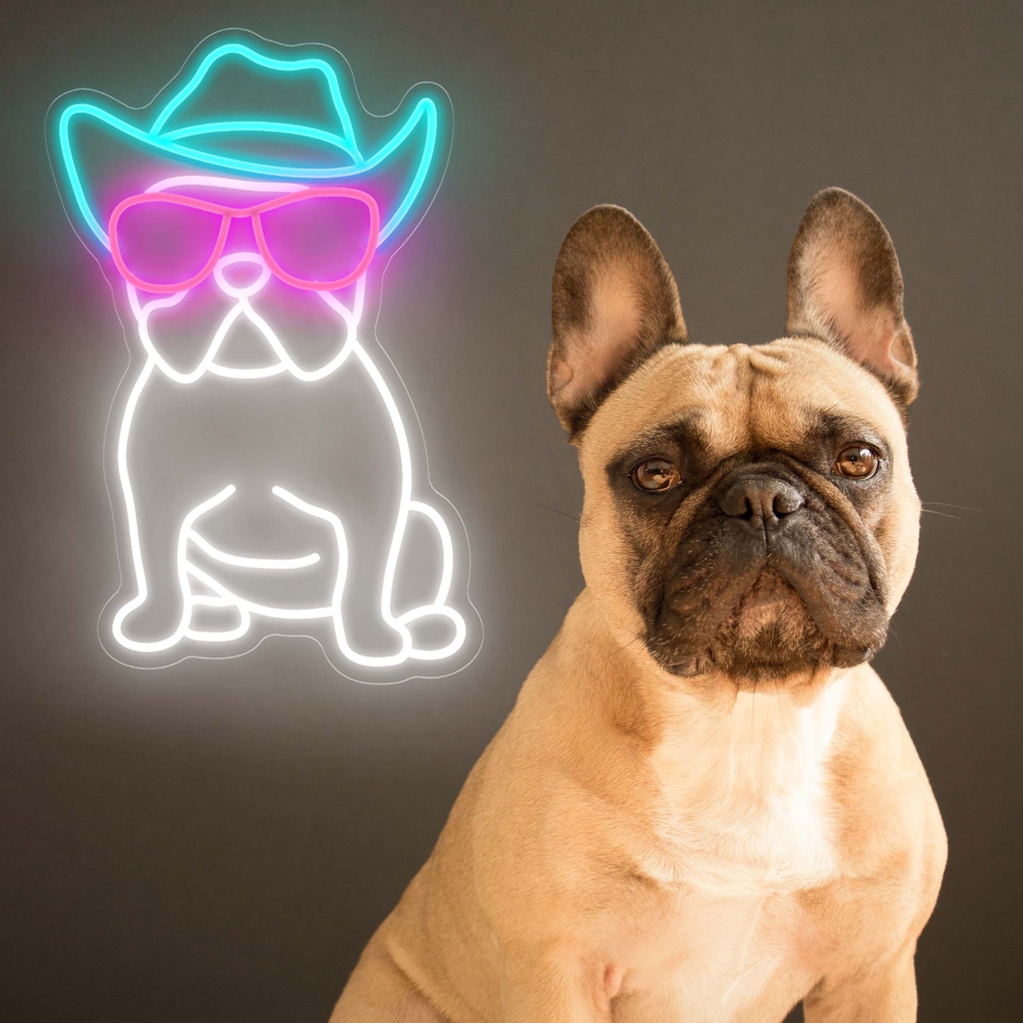 Franse Bulldog LED Neon Verlichting